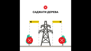 Законодавство про обрізку дерев на Вашій садовій дільниці!